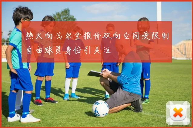 热火向戈尔金报价双向合同受限制自由球员身份引关注